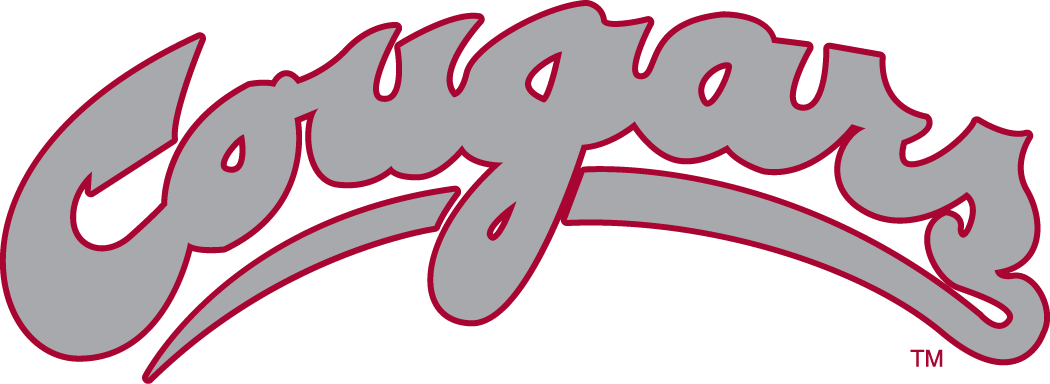 Washington State Cougars 1995-2010 Wordmark Logo v2 diy iron on heat transfer